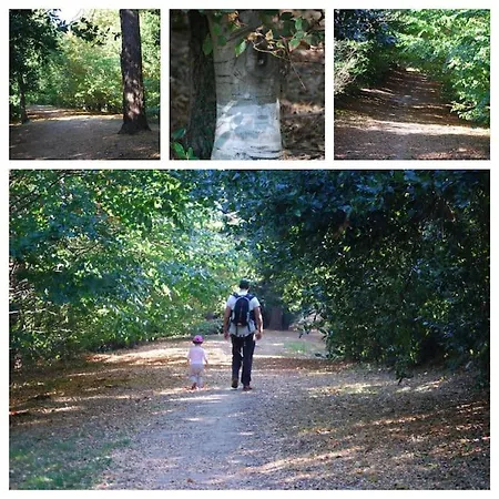 Βίλα Amazing Views Over In A Family *