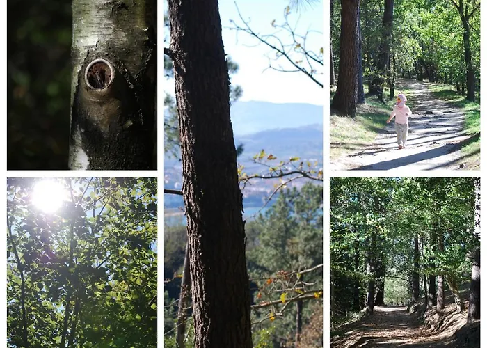 Buenavista - Exclusive Location *